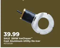 Runnings 250W IceChaser Cast Aluminum Utility De-Icer offer