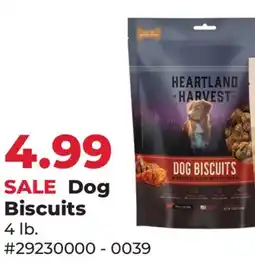Runnings Dog Biscuits offer