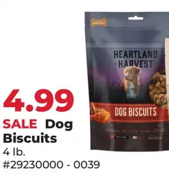 Runnings Dog Biscuits offer