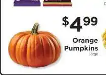 ShopRite Orange Pumpkins offer