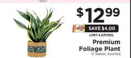 ShopRite Premium Foliage Plant offer