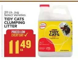 Food Lion Tidy Cats Clumping Litter offer