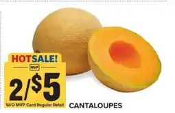 Food Lion Cantaloupes offer