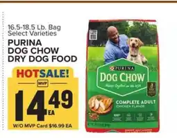 Food Lion Purina Dog Chow Dry Dog Food offer