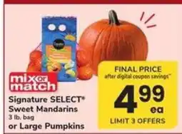 Safeway Signature SELECT Sweet Mandarins or Large Pumpkins offer