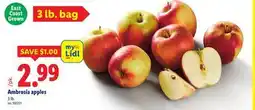 Lidl Ambrosia apples offer