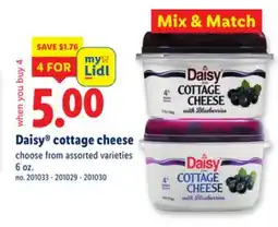 Lidl Daisy cottage cheese offer