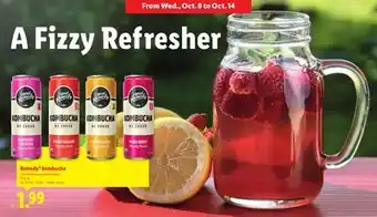 Lidl Remedy kombucha offer