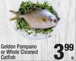 Super King Markets Golden Pompano or Whole Cleaned Catfish offer