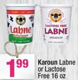 Super King Markets Karoun Labne or Lactose offer