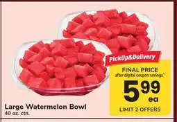 ACME Large Watermelon Bowl offer