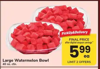 ACME Large Watermelon Bowl offer