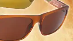 Big 5 Bolle Polarized Sunglasses offer