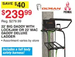Dunham's Sports 22' BIG DADDY WITH LOCKJAW OR 22' MAC DADDY DELUXE LADDER offer