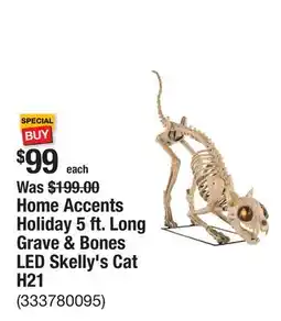 The Home Depot Home Accents Holiday 5 ft. Long Grave & Bones LED Skelly's Cat H21 offer