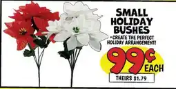 Ollie's SMALL HOLIDAY BUSHES offer