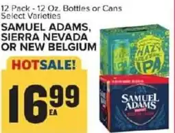 Food Lion Samuel adams, sierra nevada or new belgium offer