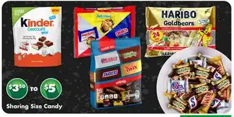 Dollar Tree Sharing Size Candy offer