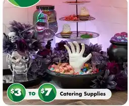 Dollar Tree Catering Supplies offer
