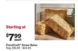 Michaels Floracraft Straw Bales offer