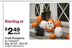 Michaels craft Pumpkins by Ashland offer