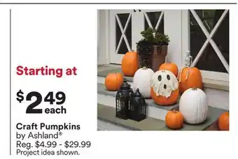 Michaels craft Pumpkins by Ashland offer