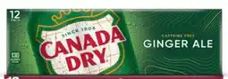 Target Select Canada Dry & more 12-pk. soda offer