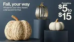 Target Pumpkins offer