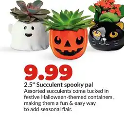 Hy-Vee 2.5 Succulent spooky pal offer