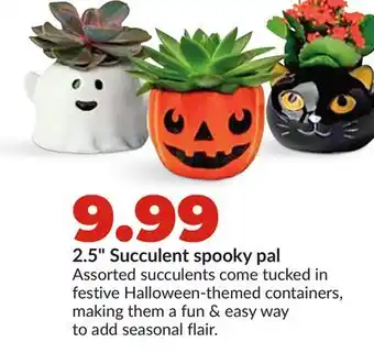 Hy-Vee 2.5 Succulent spooky pal offer