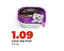 Hy-Vee Cesar dog food offer