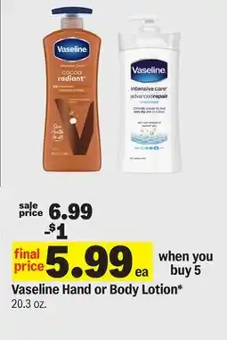 Meijer Vaseline Hand or Body Lotion offer