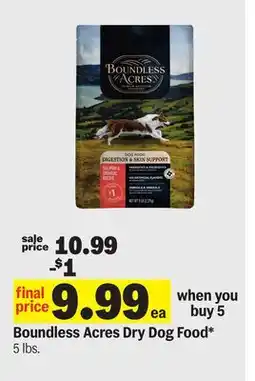 Meijer Boundless Acres Dry Dog Food offer