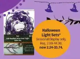 Meijer Halloween Light Sets offer