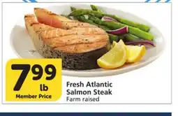 Vons Fresh Atlantic Salmon Steak offer