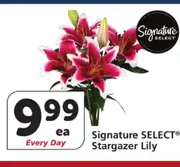 Vons Signature SELECT Stargazer Lily offer