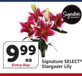 Vons Signature SELECT Stargazer Lily offer