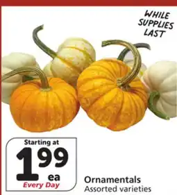 Vons Ornamentals offer