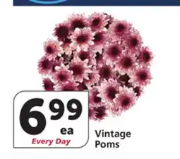 Vons Vintage Poms offer