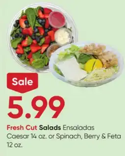 Stater Bros Fresh Cut Salads offer