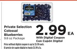 Food 4 Less Private Selection Colossal Blueberries offer