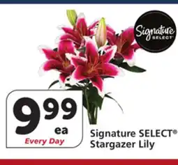 Albertsons Signature SELECT Stargazer Lily offer