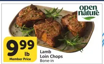 Albertsons Lamb Loin Chops offer