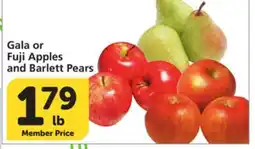Albertsons Gala or Fuji Apples and Barlett Pears offer