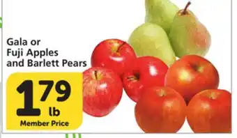Albertsons Gala or Fuji Apples and Barlett Pears offer