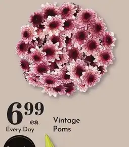 Pavilions Vintage Poms offer