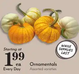 Pavilions Ornamentals offer