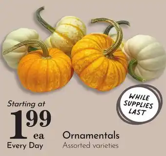 Pavilions Ornamentals offer