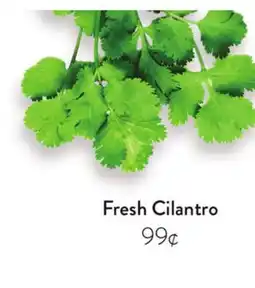 Fresh Thyme Fresh Cilantro offer