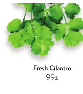 Fresh Thyme Fresh Cilantro offer